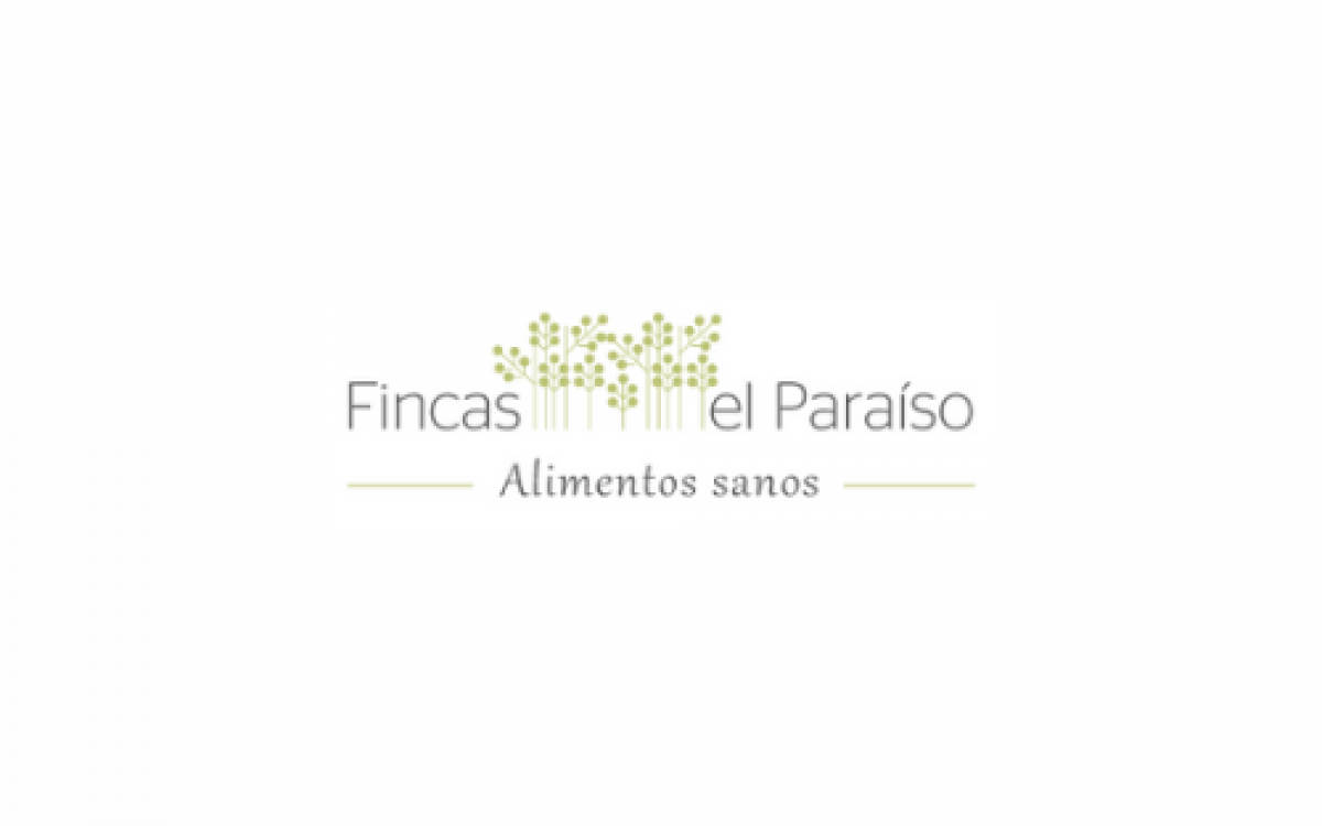 PRESENTACION   